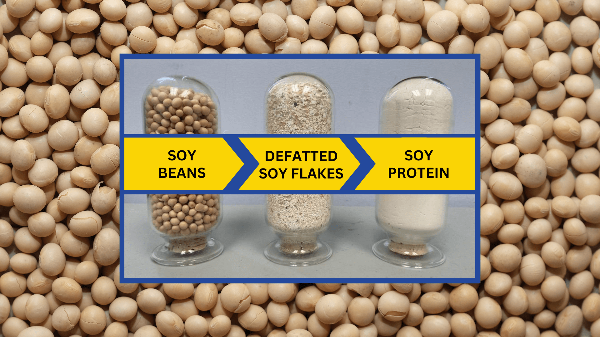 Soy Protein Manufacturer Partners with LSI for Longterm Controls